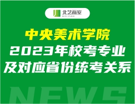 中央美术学院2023年校考专业及对应省份统考关系