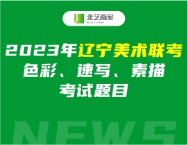 2023年辽宁美术联考色彩、速写、素描考试题目