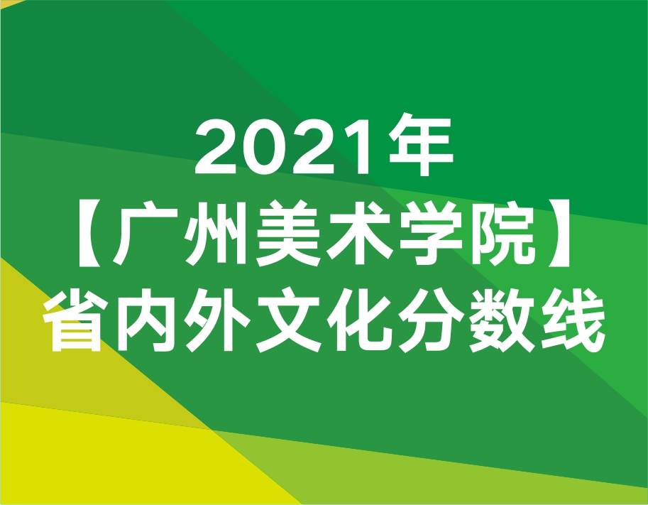 2021年广州美术学院省内外文化分数线