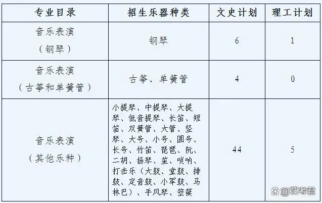 音乐表演专业