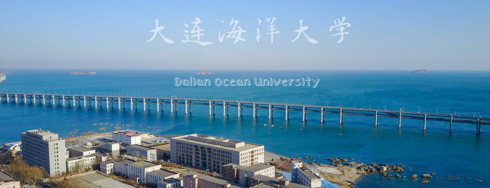 扬帆起航！大连海洋大学2024年采用各省美术统考成绩